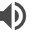 Sonorisation de sécurité (SSS)